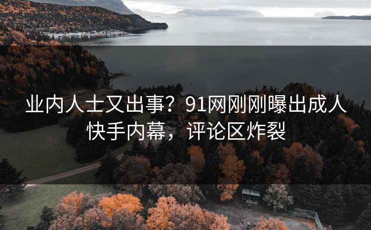 业内人士又出事？91网刚刚曝出成人快手内幕，评论区炸裂